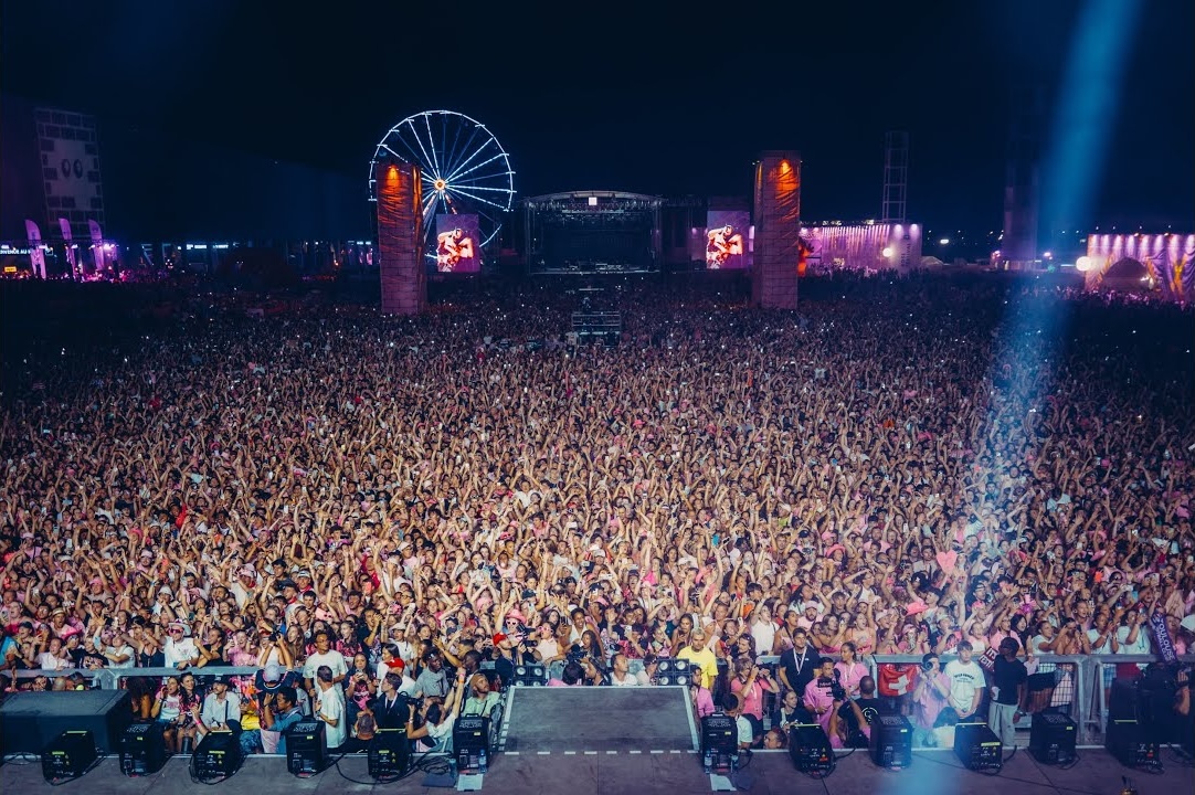 Le Rose Festival, aller à Toulouse en train !🦩
