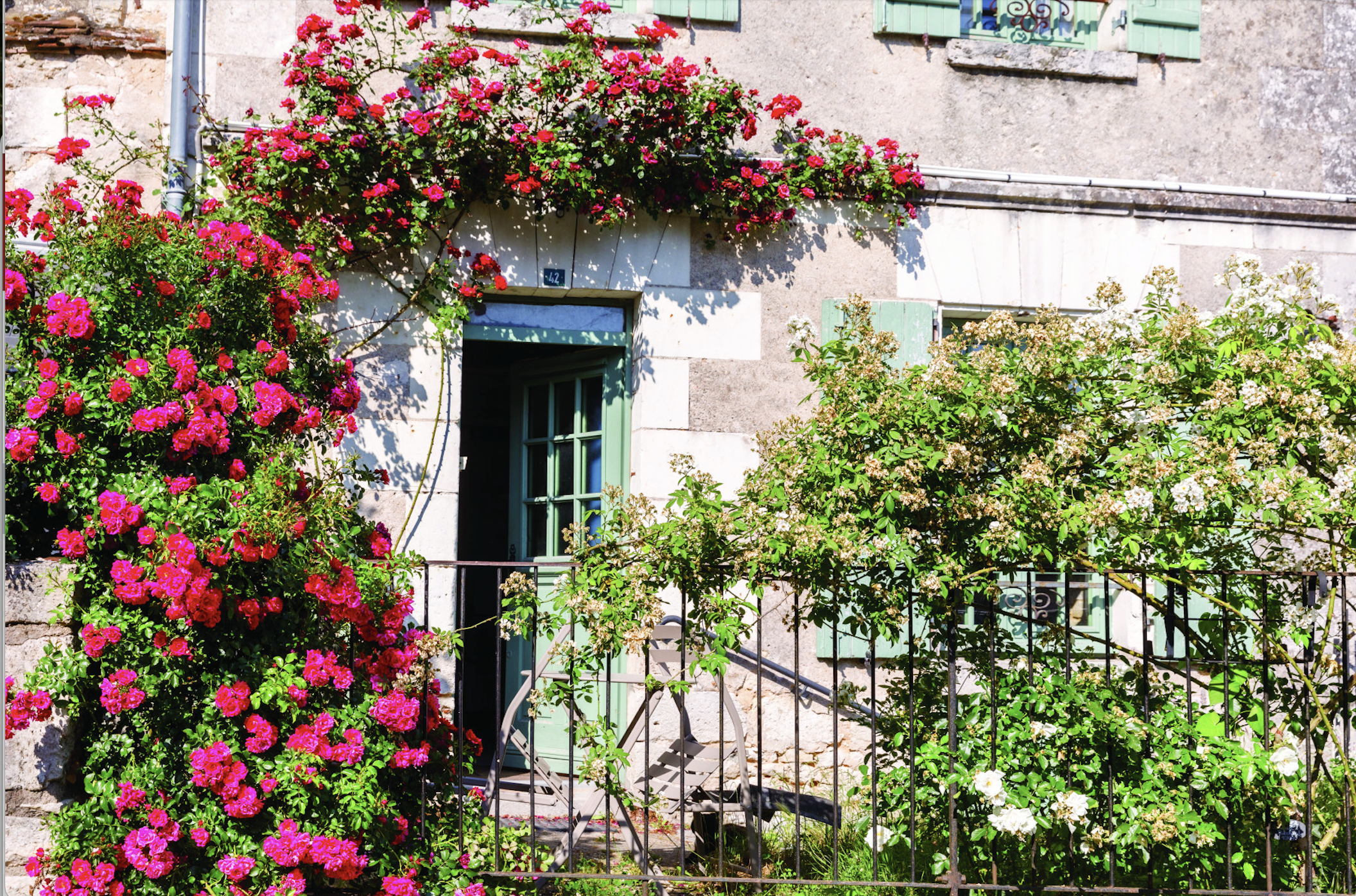 Chédigny, le nom de la rose