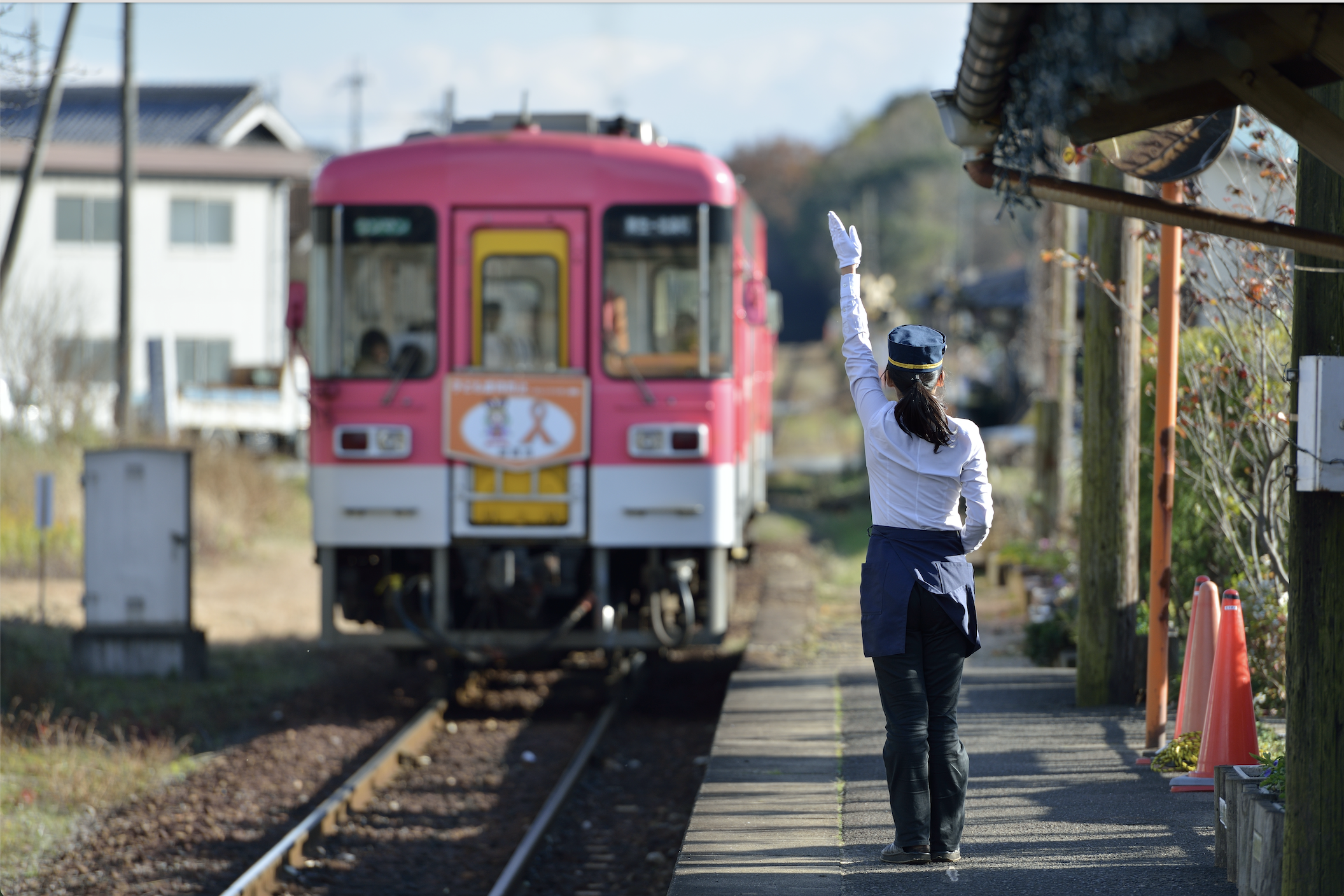 5 trains japonais de caractère